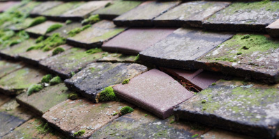 Denham Green roof repair costs